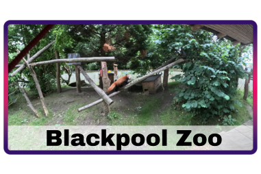Blackpool Zoo