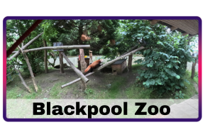 Blackpool Zoo