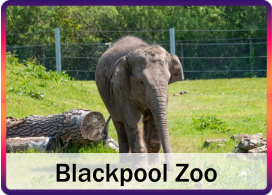 Blackpool Zoo