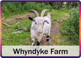 Whyndyke Farm