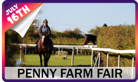 PENNY FARM FAIR 16TH JULY